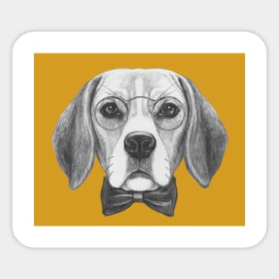 Sir Beagle Sticker